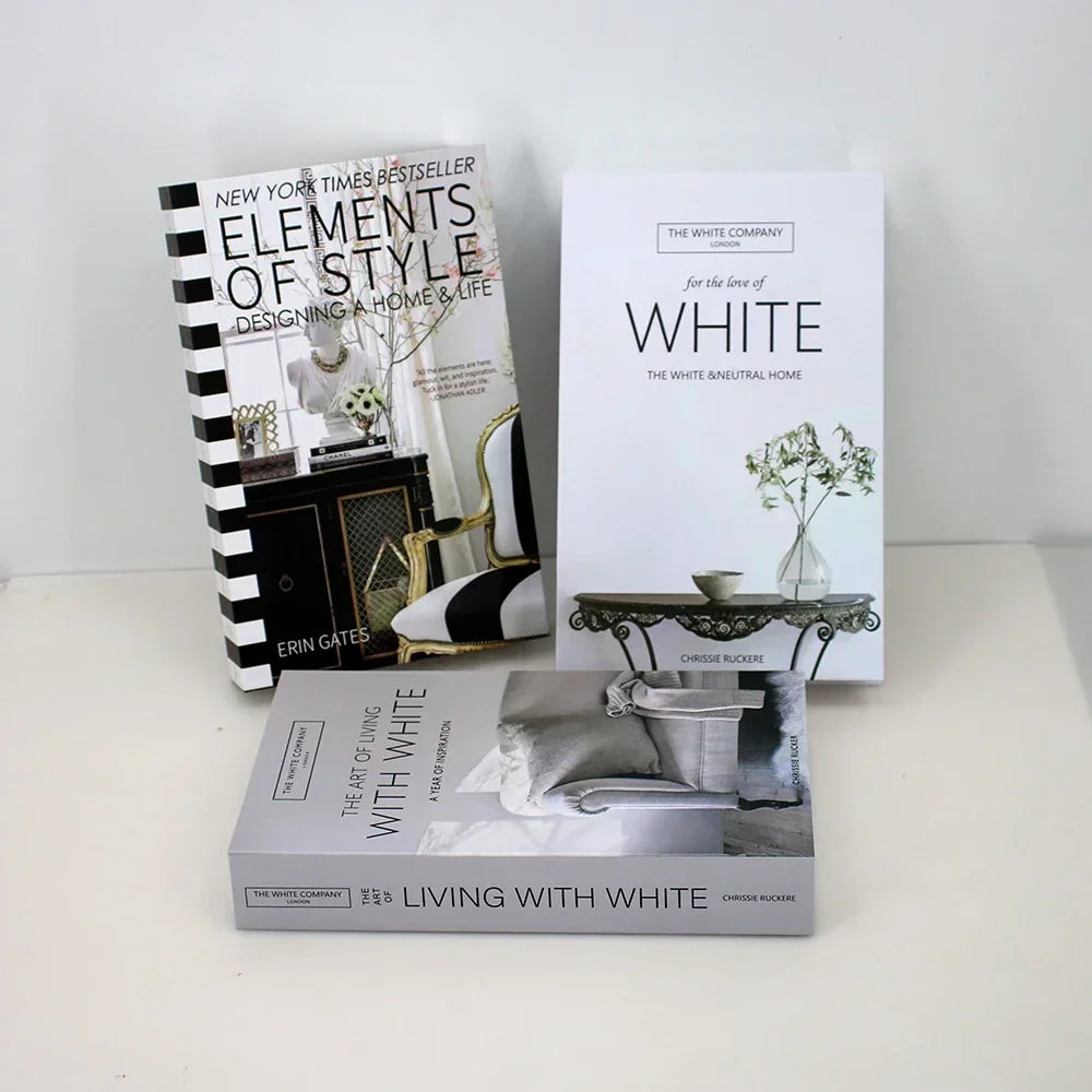 Set livres déco multicolores table basse salon moderne